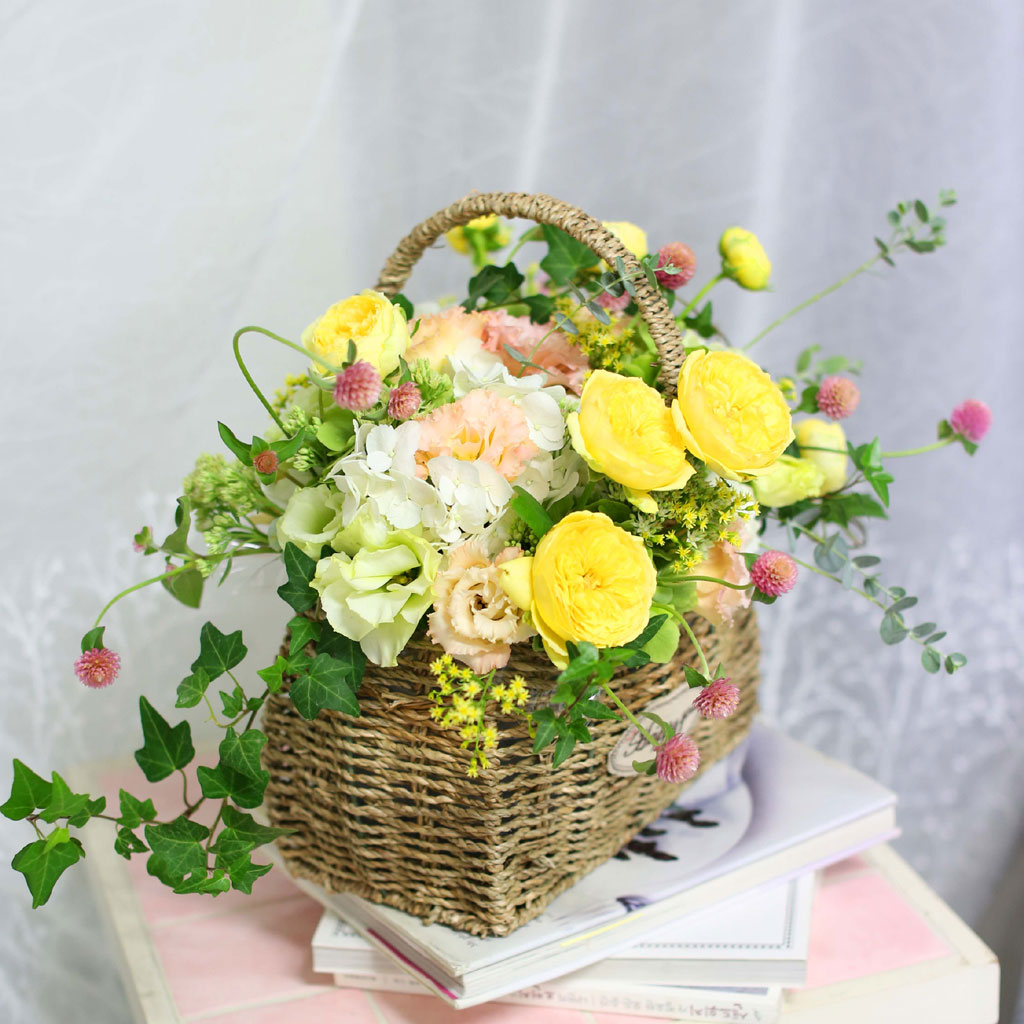 Fall in love - brilliant  ɹ