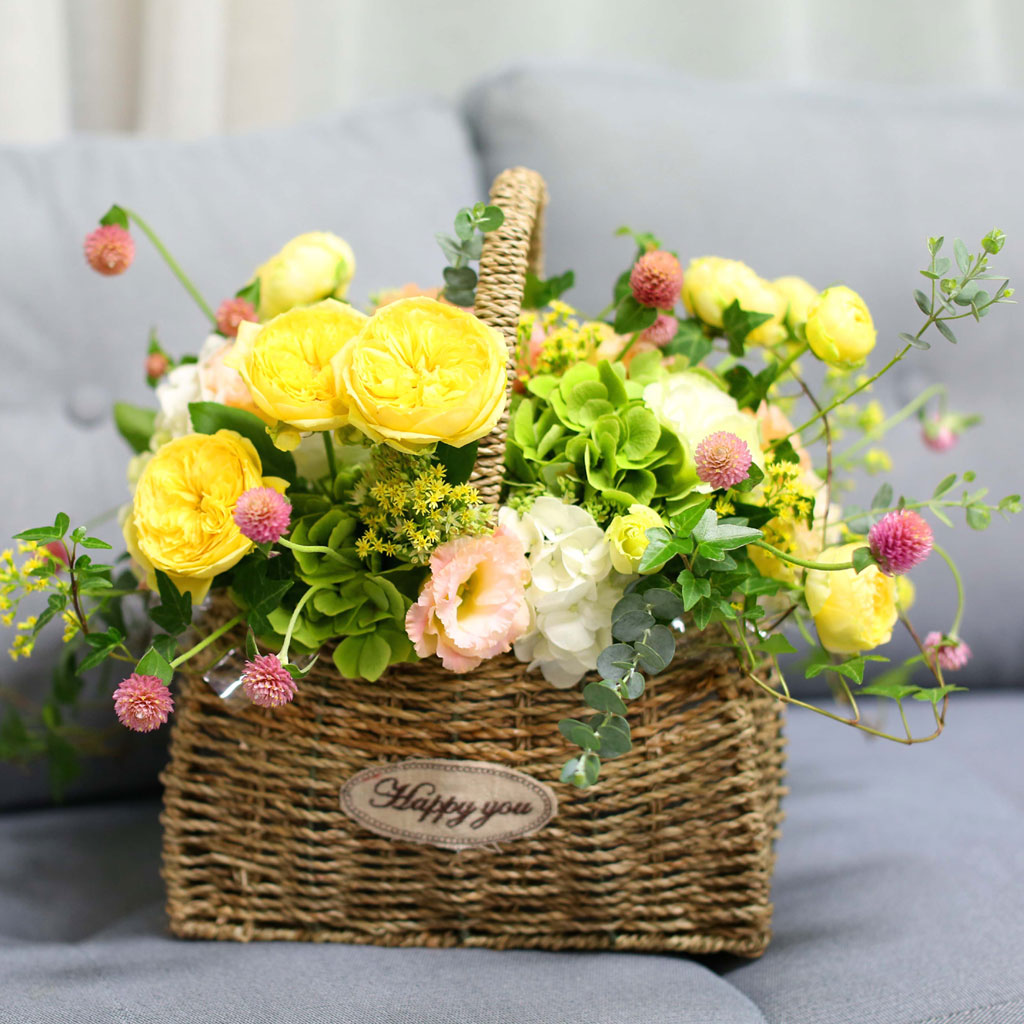 Fall in love - brilliant  ɹ