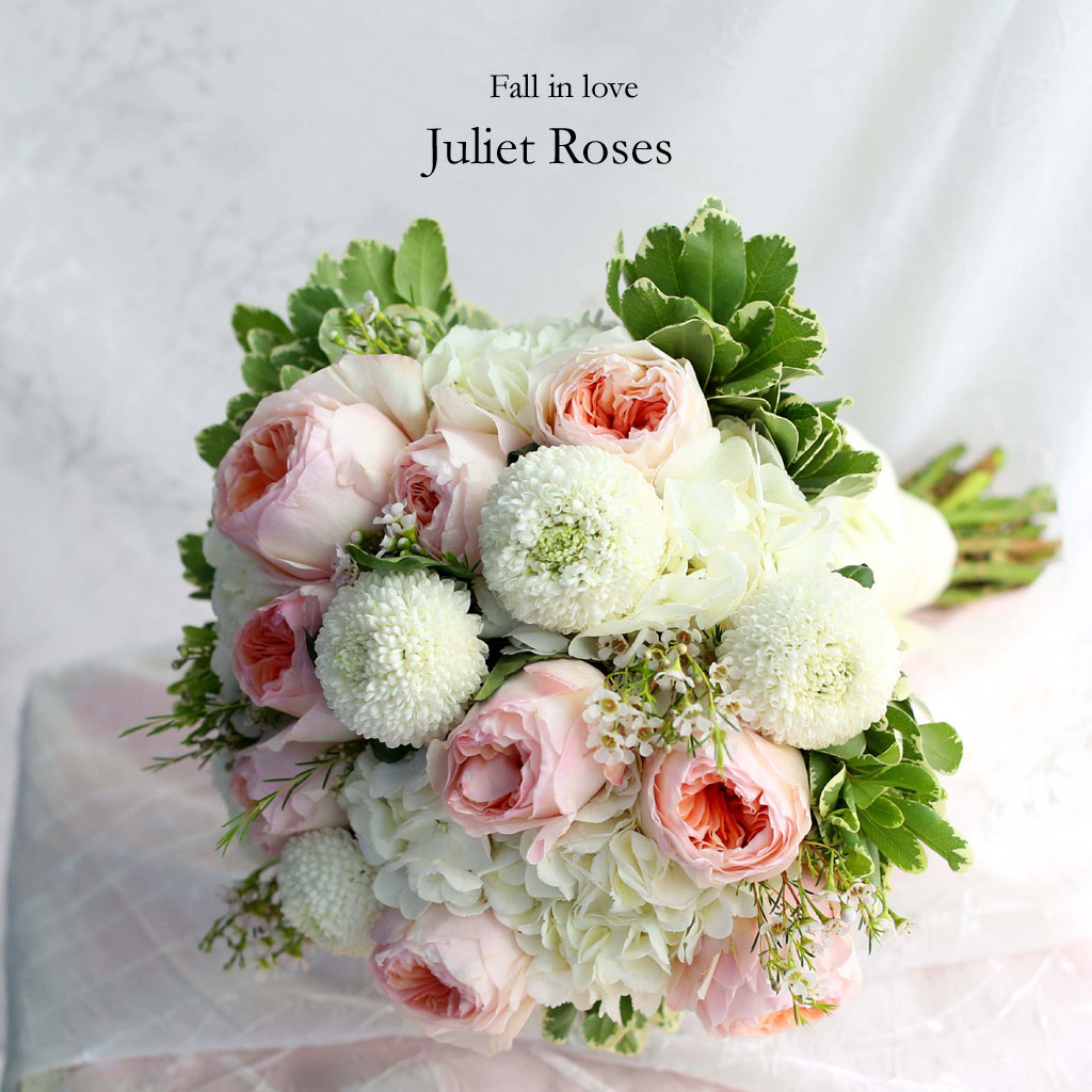 Fall in love - juliet Rose  ɹ