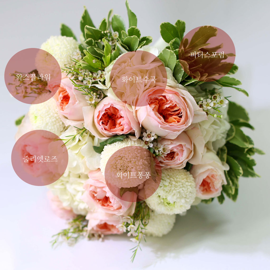 Fall in love - juliet Rose  ɹ