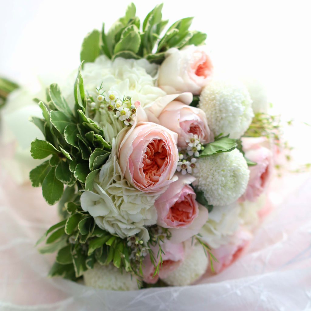 Fall in love - juliet Rose  ɹ