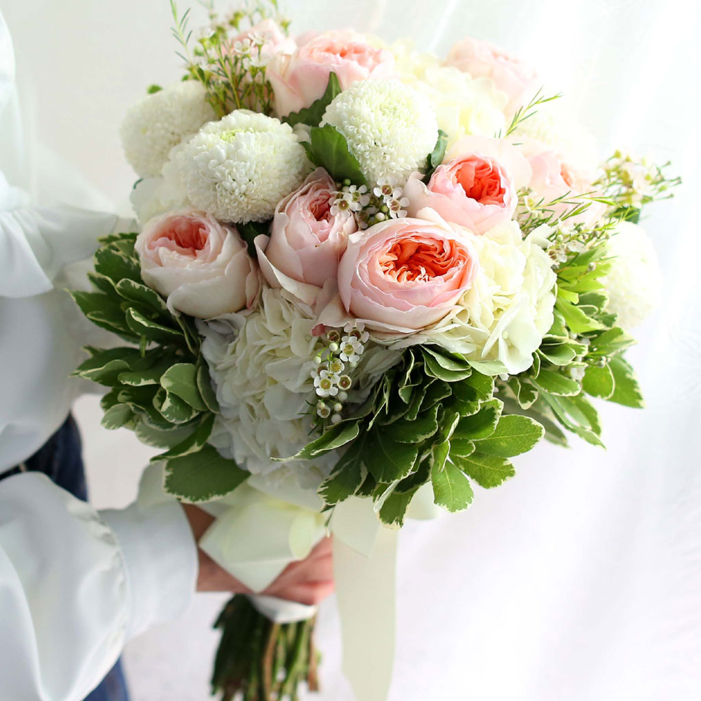 Fall in love - juliet Rose  ɹ