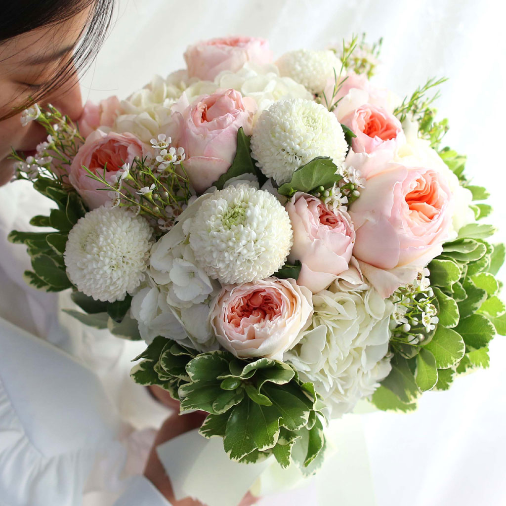 Fall in love - juliet Rose  ɹ