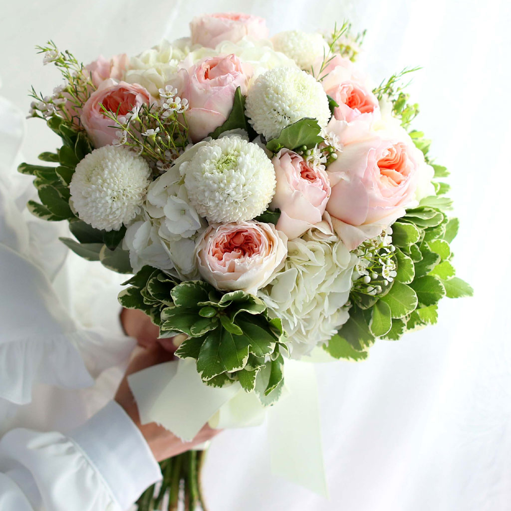 Fall in love - juliet Rose  ɹ