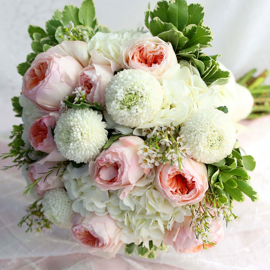 Fall in love - juliet Rose  ɹ