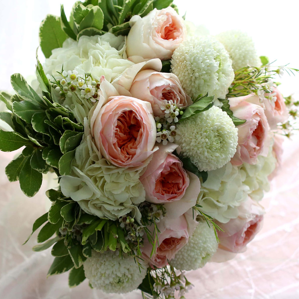 Fall in love - juliet Rose  ɹ