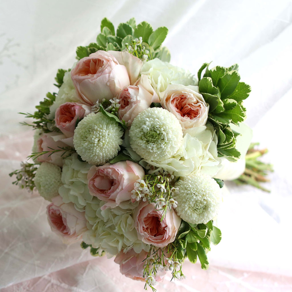 Fall in love - juliet Rose  ɹ