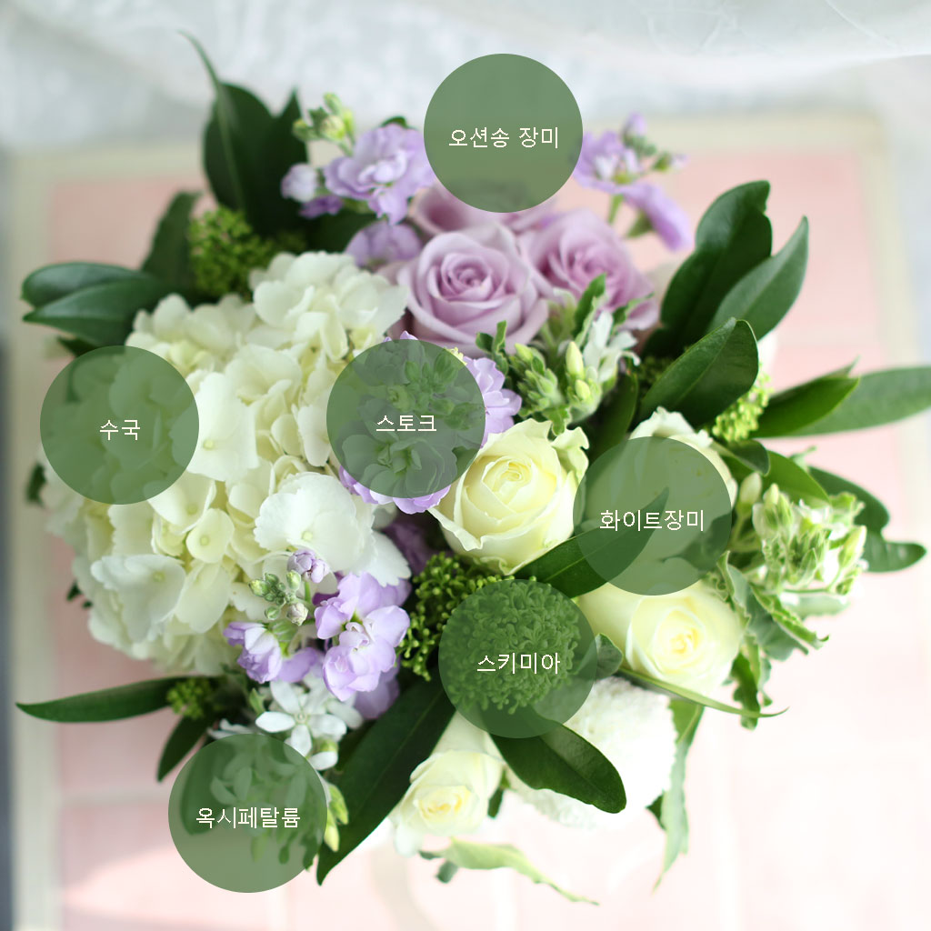 [/ ]Yes it is ܿ    ɹ