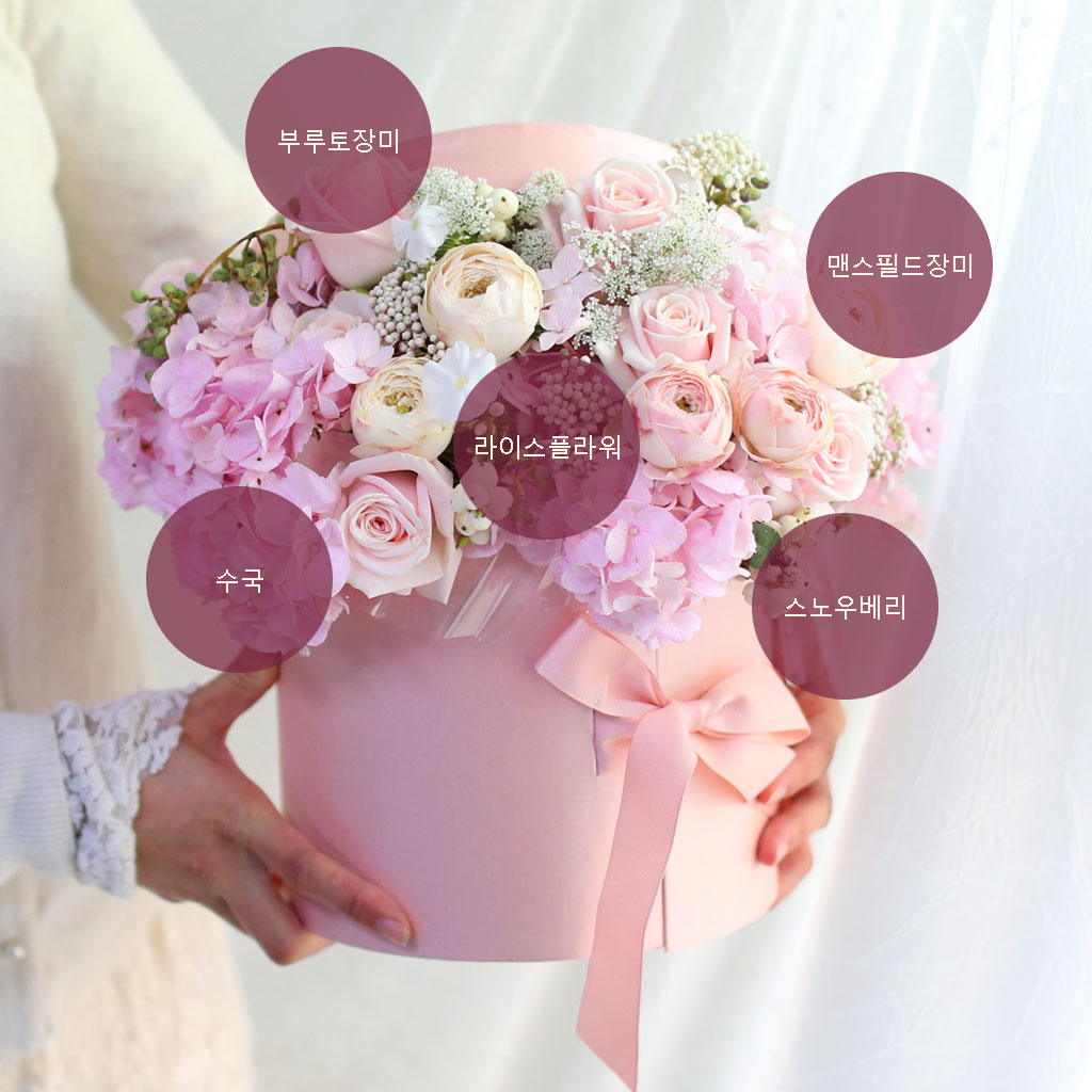 [/ǹ]Chic feminine Pink lady  ɹ