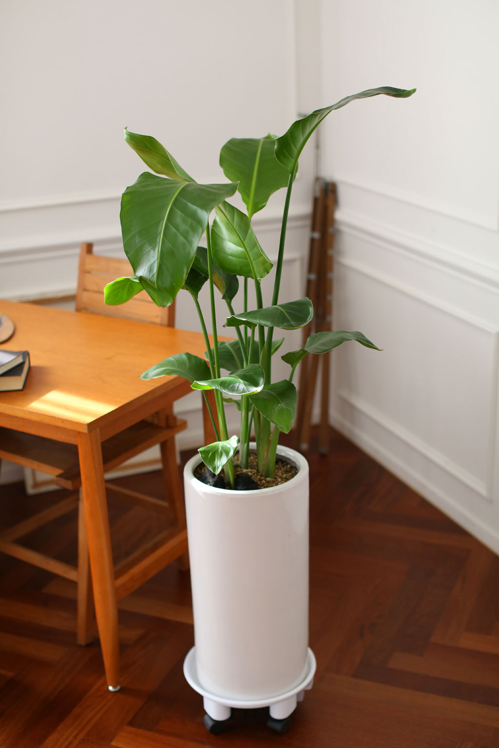 Office & Nature -  °ø°£À» ¾Æ¸§´ä°Ô ¿©ÀÎÃÊ (ȱⰡ º¯°æµÉ ¼ö ÀÖ½À´Ï´Ù.)