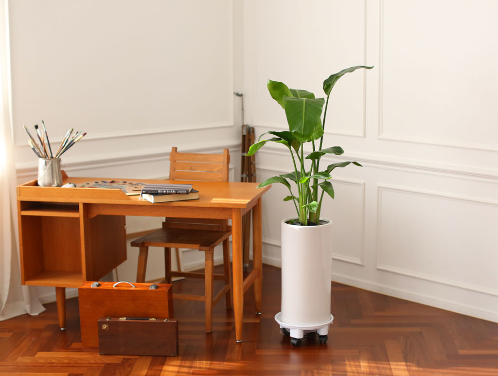 Office & Nature -  °ø°£À» ¾Æ¸§´ä°Ô ¿©ÀÎÃÊ (ȱⰡ º¯°æµÉ ¼ö ÀÖ½À´Ï´Ù.)