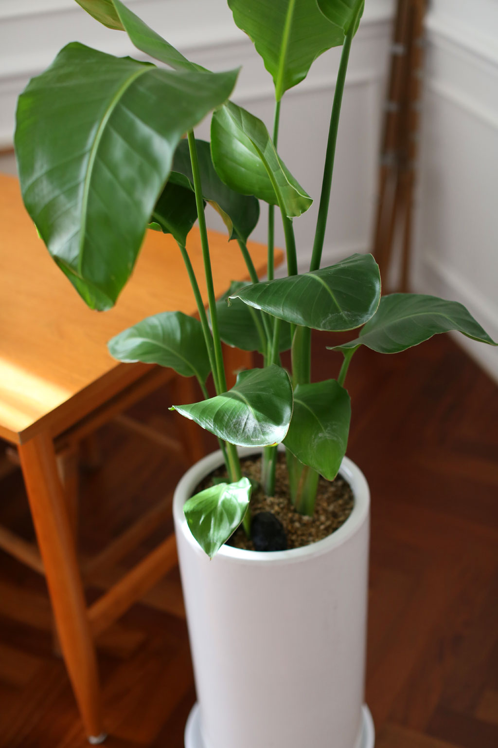 Office & Nature -  °ø°£À» ¾Æ¸§´ä°Ô ¿©ÀÎÃÊ (ȱⰡ º¯°æµÉ ¼ö ÀÖ½À´Ï´Ù.)