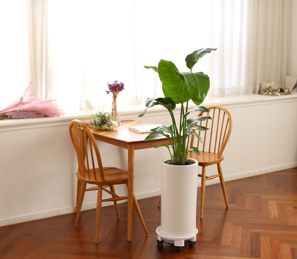 Office & Nature -  °ø°£À» ¾Æ¸§´ä°Ô ¿©ÀÎÃÊ (ȱⰡ º¯°æµÉ ¼ö ÀÖ½À´Ï´Ù.)