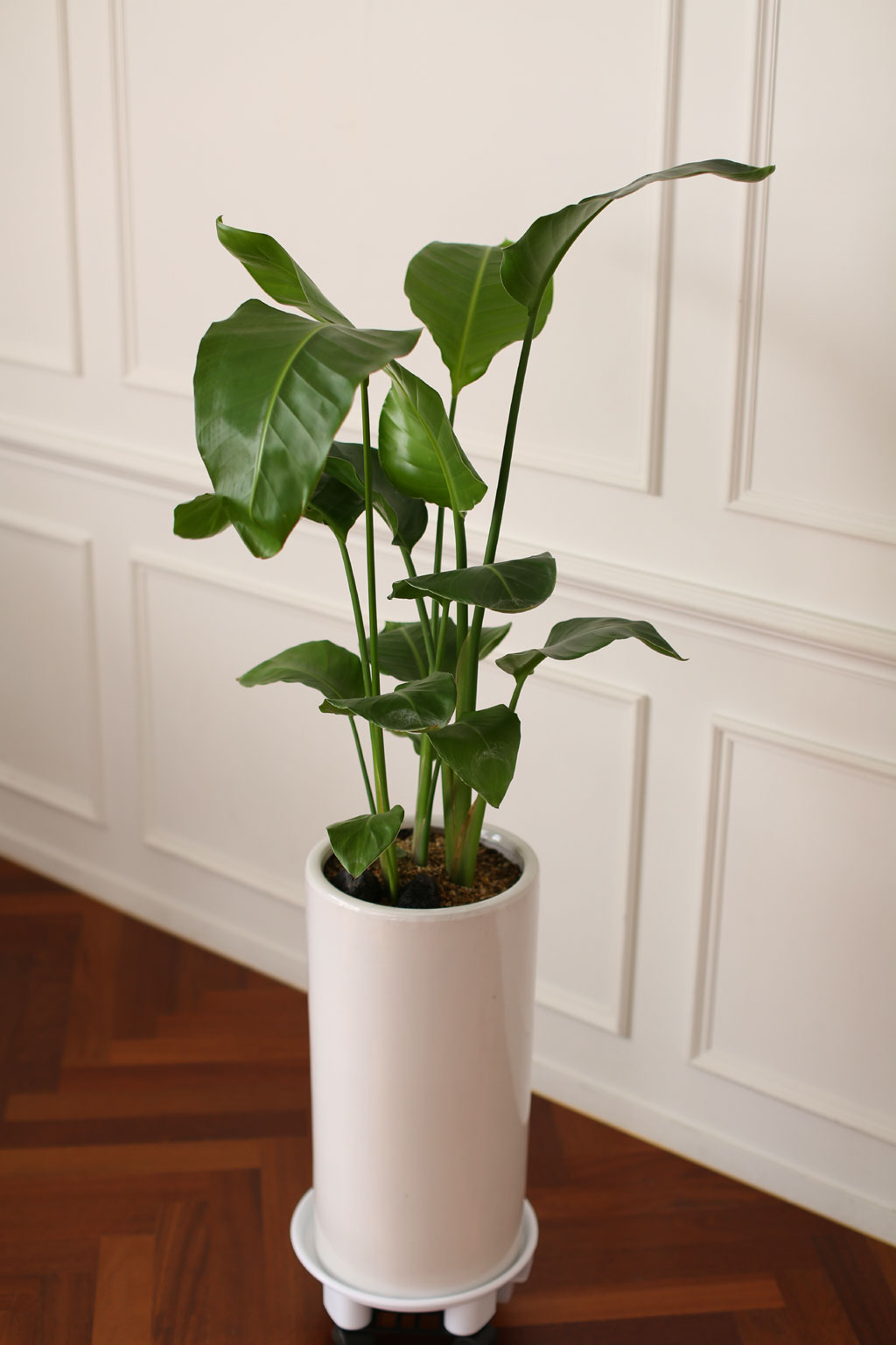 Office & Nature -  °ø°£À» ¾Æ¸§´ä°Ô ¿©ÀÎÃÊ (ȱⰡ º¯°æµÉ ¼ö ÀÖ½À´Ï´Ù.)