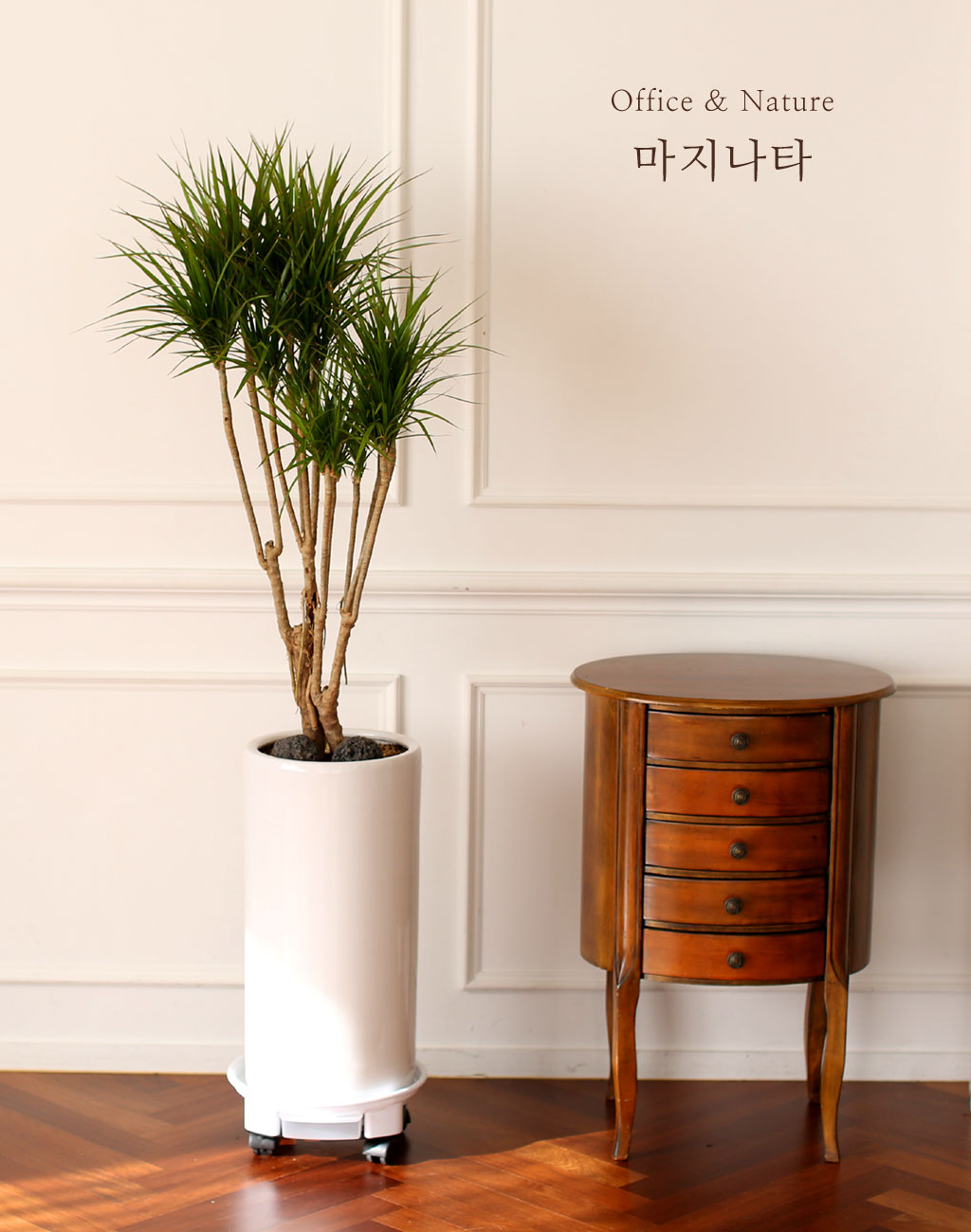 Office & Nature Ÿ (ȭⰡ   ֽϴ.)  ɹ