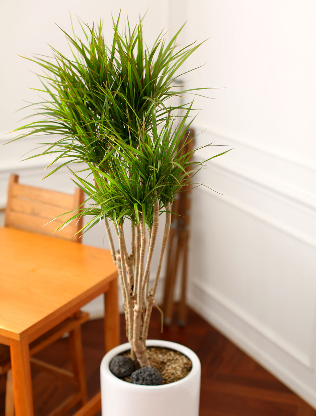 Office & Nature Ÿ (ȭⰡ   ֽϴ.)  ɹ