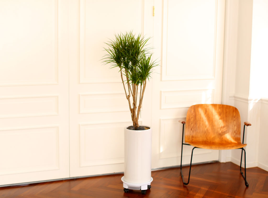 Office & Nature Ÿ (ȭⰡ   ֽϴ.)  ɹ