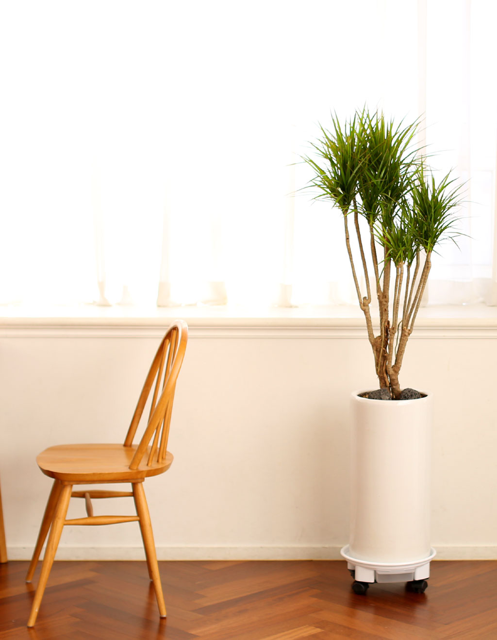 Office & Nature Ÿ (ȭⰡ   ֽϴ.)  ɹ