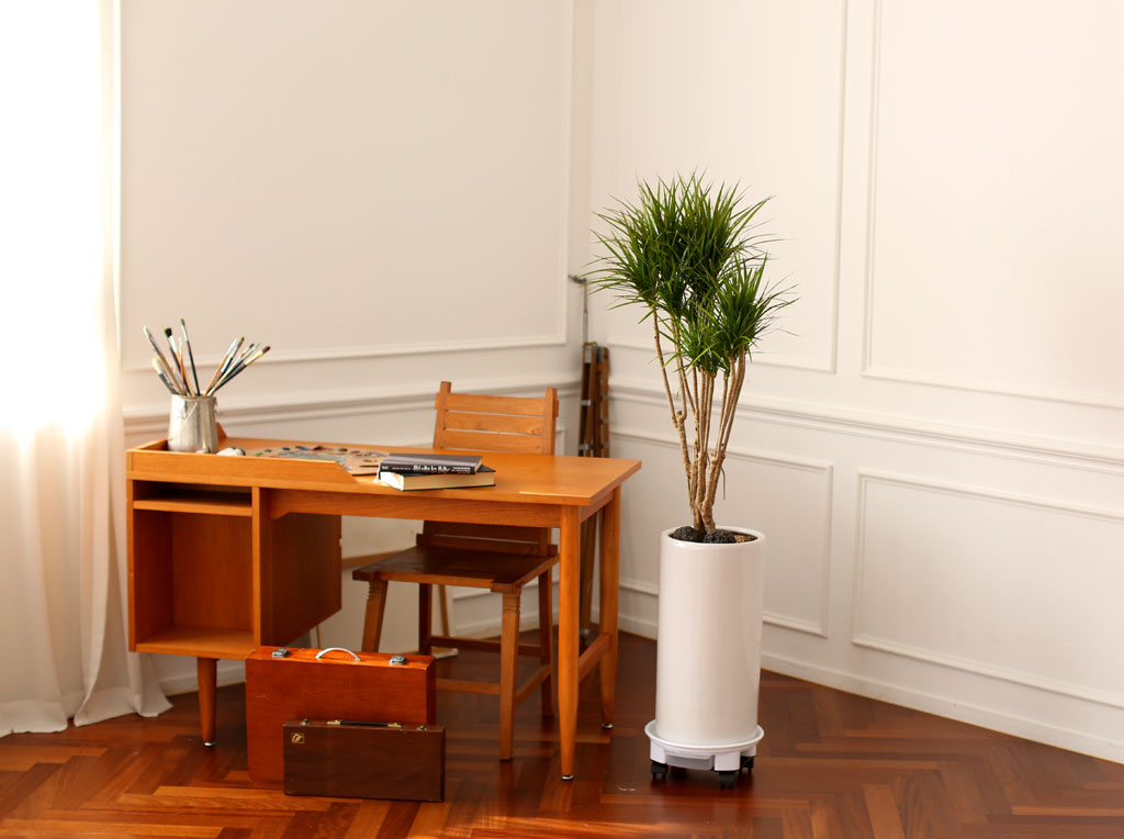 Office & Nature Ÿ (ȭⰡ   ֽϴ.)  ɹ