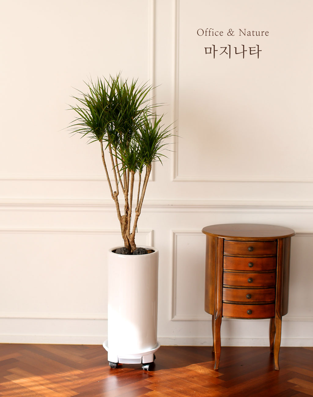 Office & Nature Ÿ (ȭⰡ   ֽϴ.)  ɹ