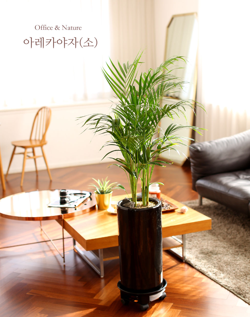 Office & Nature ¾Æ·¹Ä«¾ßÀÚ(Áß)