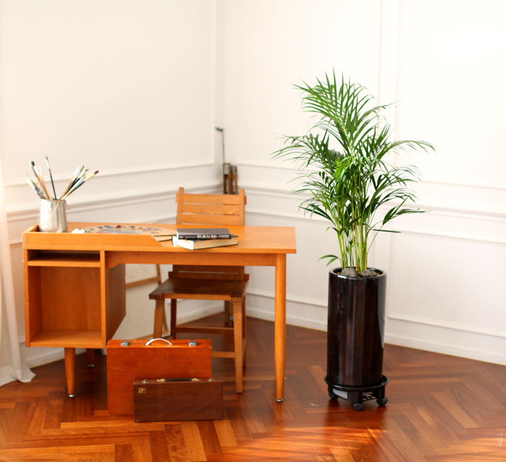 Office & Nature ¾Æ·¹Ä«¾ßÀÚ(Áß)