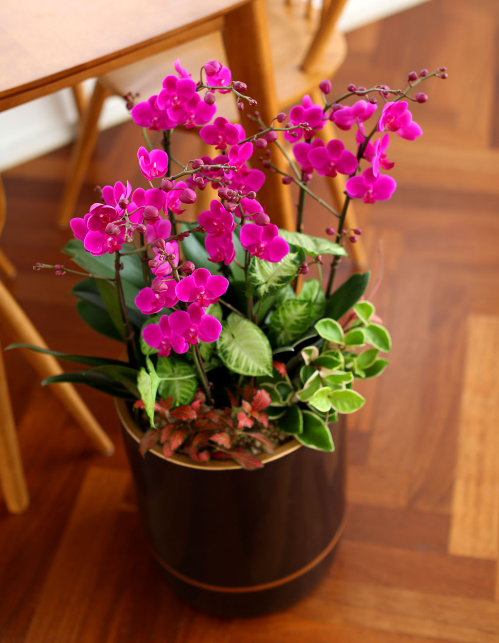 Office & Nature õȫ() ( ̿  ȭ   ֽϴ)  ɹ