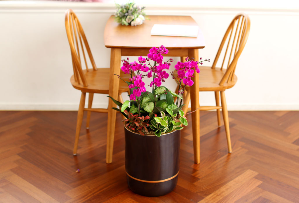 Office & Nature õȫ() ( ̿  ȭ   ֽϴ)  ɹ