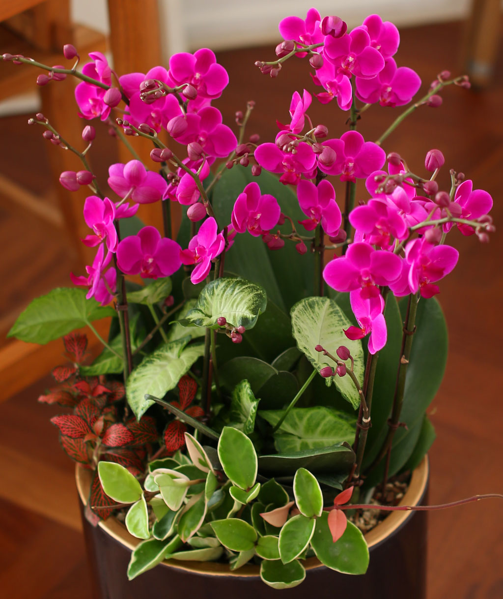 Office & Nature õȫ() ( ̿  ȭ   ֽϴ)  ɹ