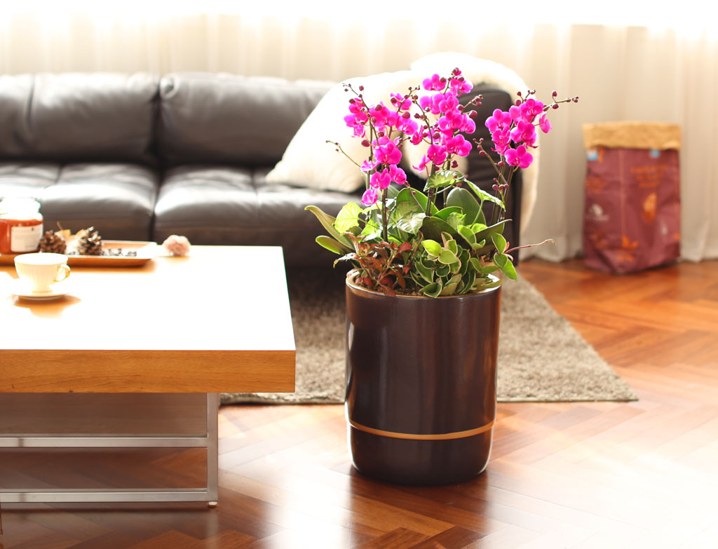 Office & Nature õȫ() ( ̿  ȭ   ֽϴ)  ɹ