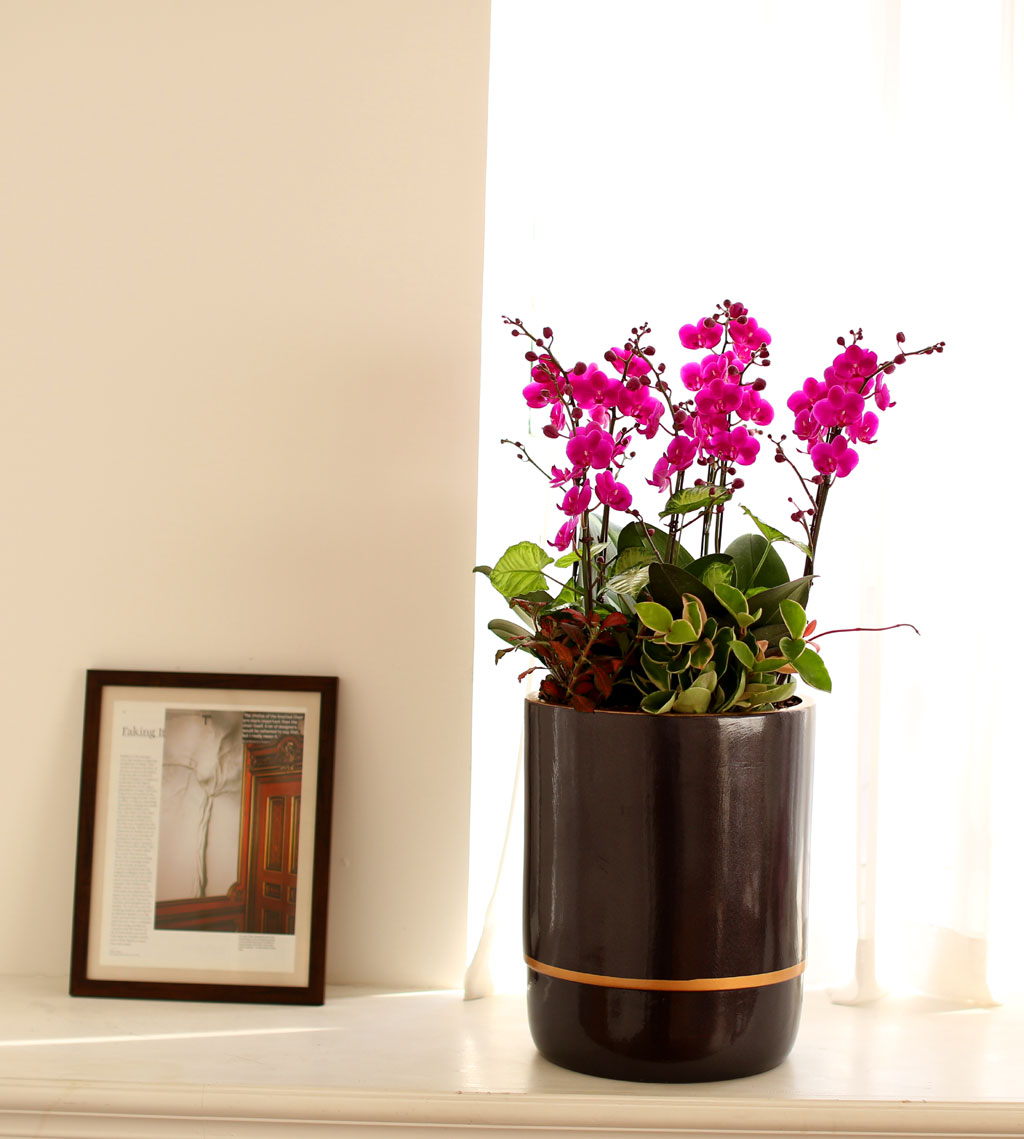 Office & Nature õȫ() ( ̿  ȭ   ֽϴ)  ɹ