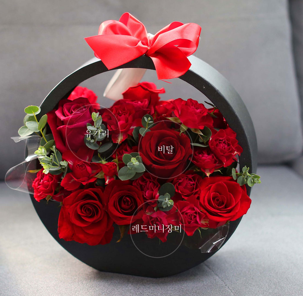 [ ǹ] Yes it is  love song(ڽ ǰ  ˴ϴ)  ɹ