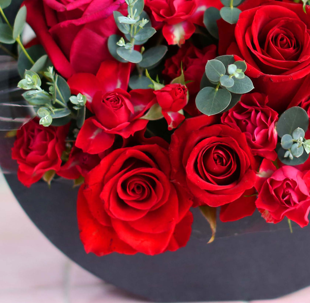 [ ǹ] Yes it is  love song(ڽ ǰ  ˴ϴ)  ɹ