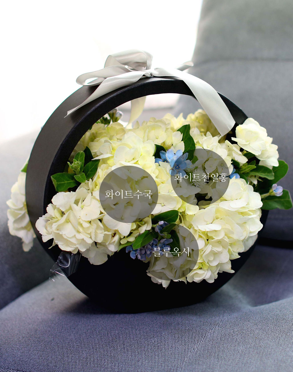 [﹫, ̿ ߰ۺ]Yes it is ູ   ɹ