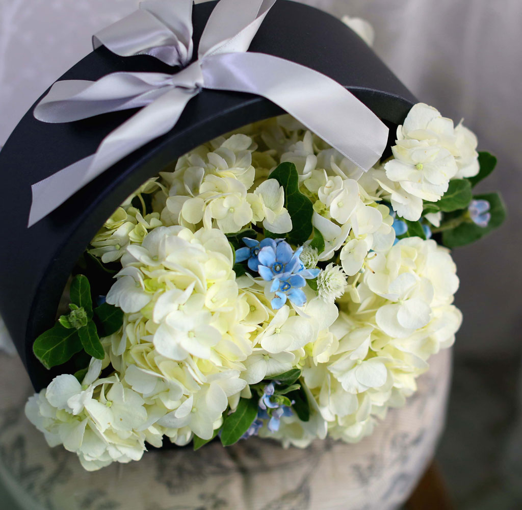 [﹫, ̿ ߰ۺ]Yes it is ູ   ɹ