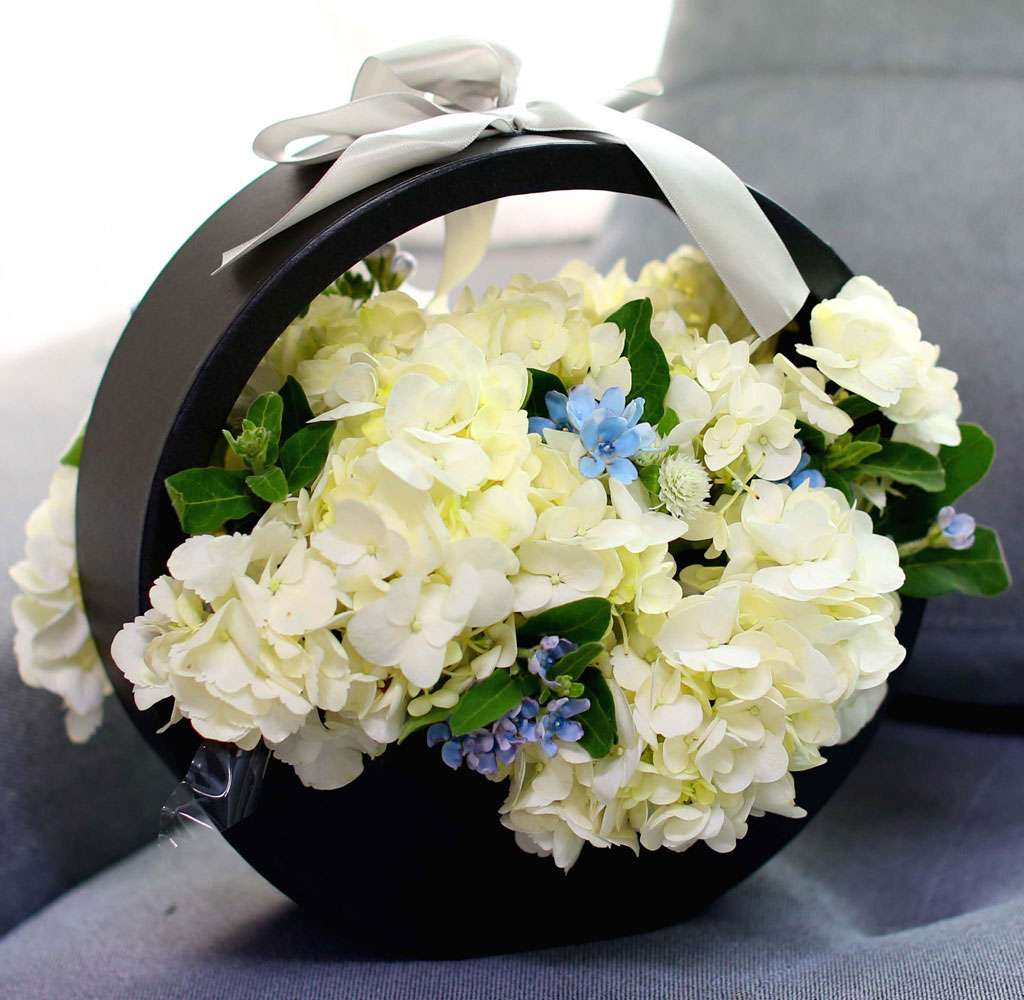 [﹫, ̿ ߰ۺ]Yes it is ູ   ɹ