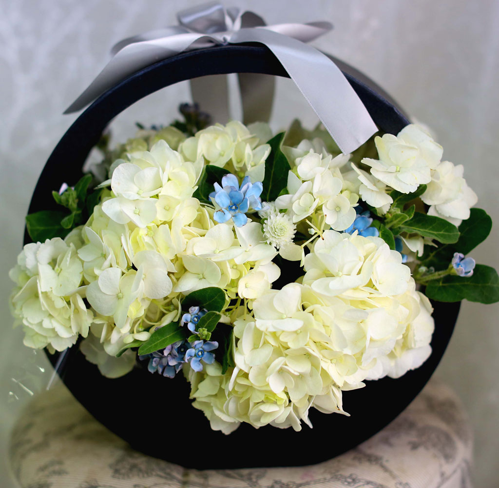 [﹫, ̿ ߰ۺ]Yes it is ູ   ɹ