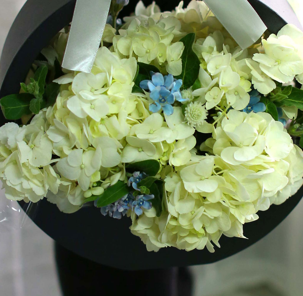 [﹫, ̿ ߰ۺ]Yes it is ູ   ɹ