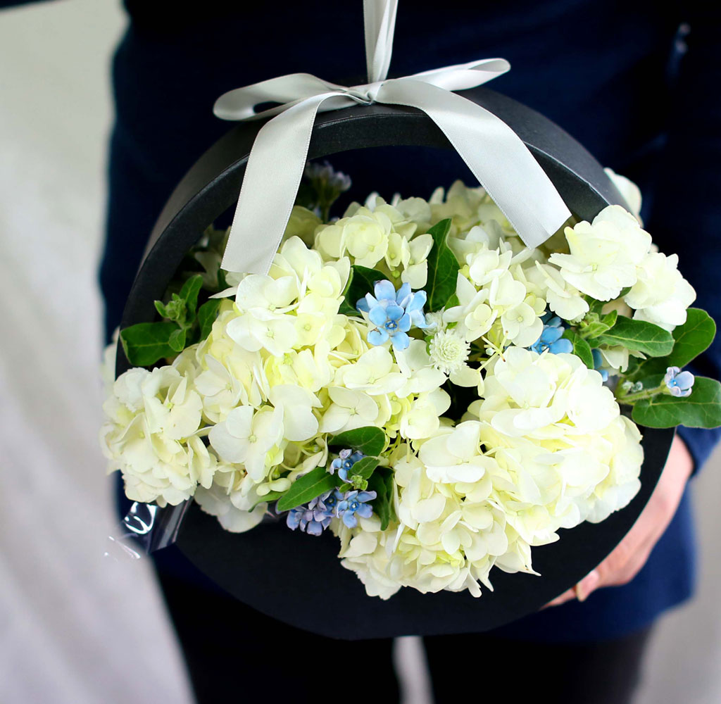 [﹫, ̿ ߰ۺ]Yes it is ູ   ɹ