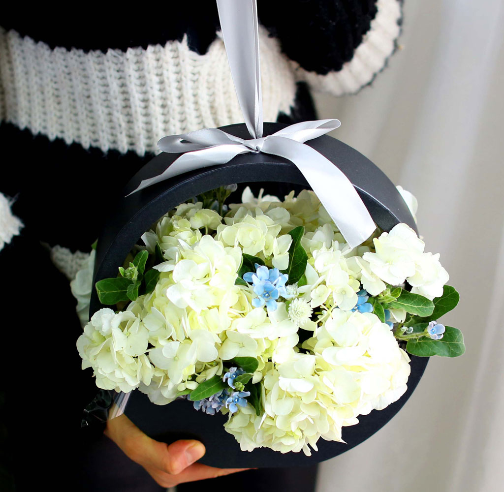 [﹫, ̿ ߰ۺ]Yes it is ູ   ɹ