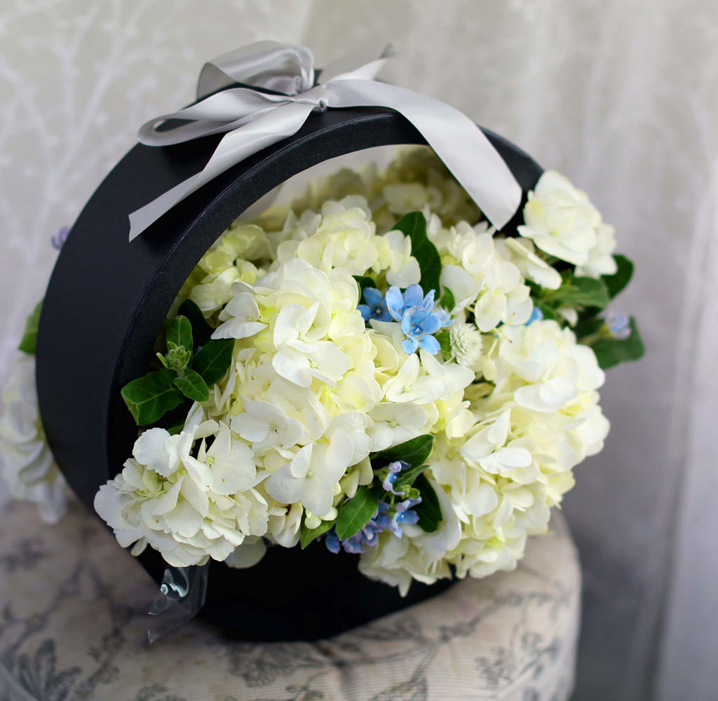 [﹫, ̿ ߰ۺ]Yes it is ູ   ɹ