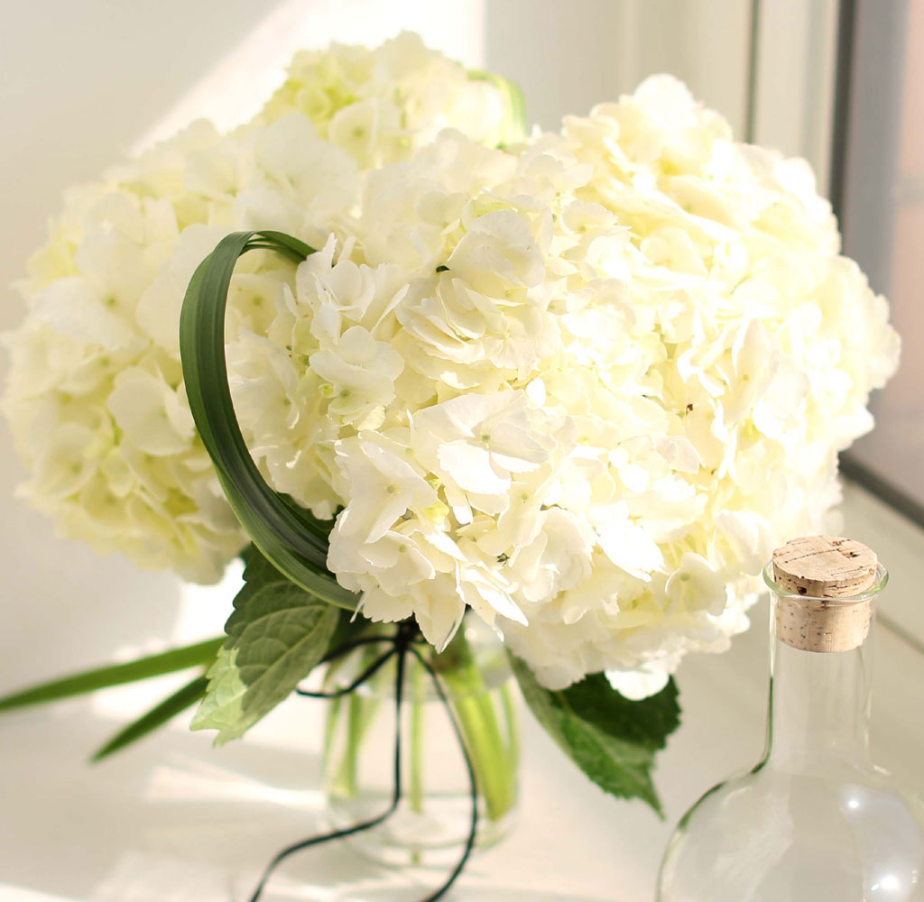 [︸, ̿ ߰ۺ]kinfolk style - ȭƮ