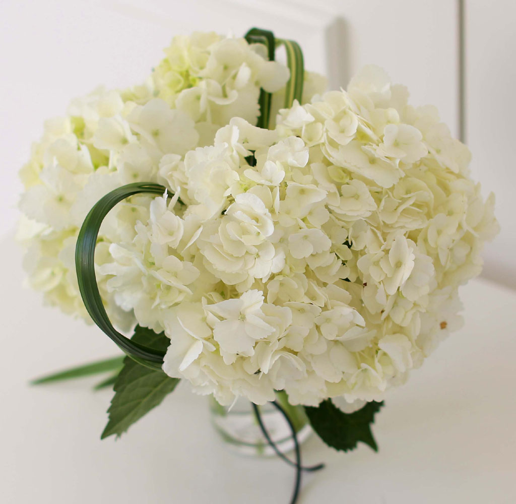 [︸, ̿ ߰ۺ]kinfolk style - ȭƮ