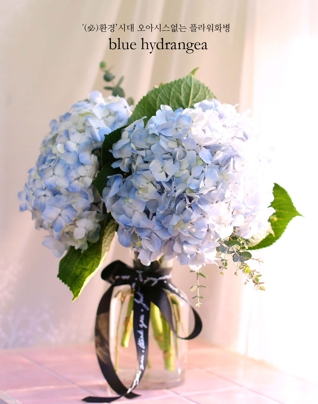'()ȯ桯ô ƽý öȭ - blue hydrangea  ɹ