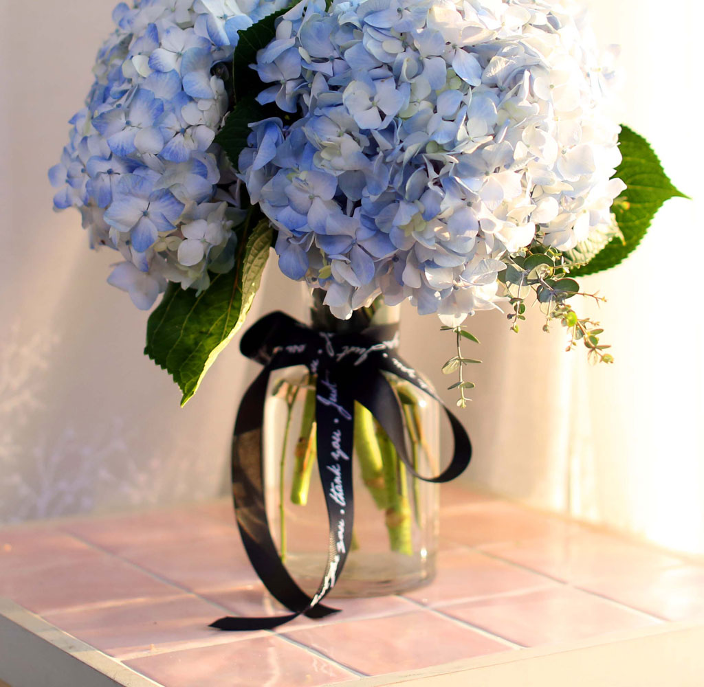 '()ȯ桯ô ƽý öȭ - blue hydrangea  ɹ