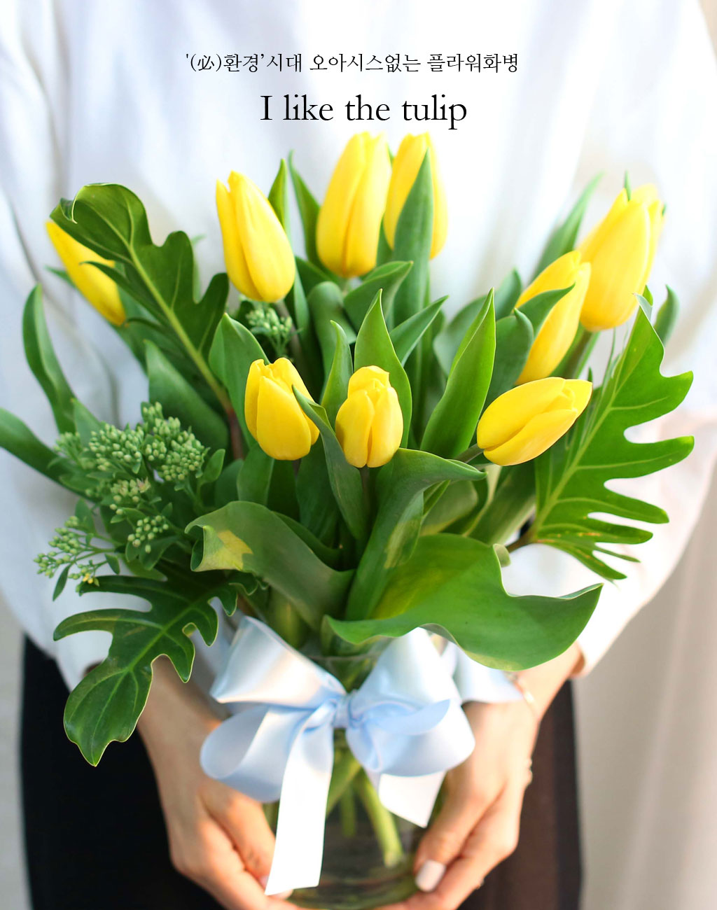 '()ȯ桯ô ƽý öȭ - I like the tulip  ɹ