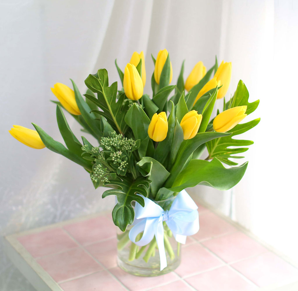 '()ȯ桯ô ƽý öȭ - I like the tulip  ɹ