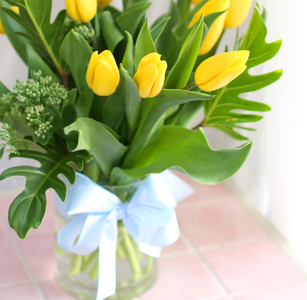 '()ȯ桯ô ƽý öȭ - I like the tulip  ɹ