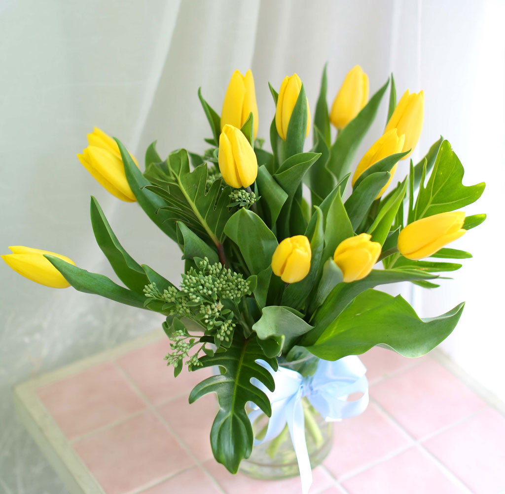 '()ȯ桯ô ƽý öȭ - I like the tulip  ɹ