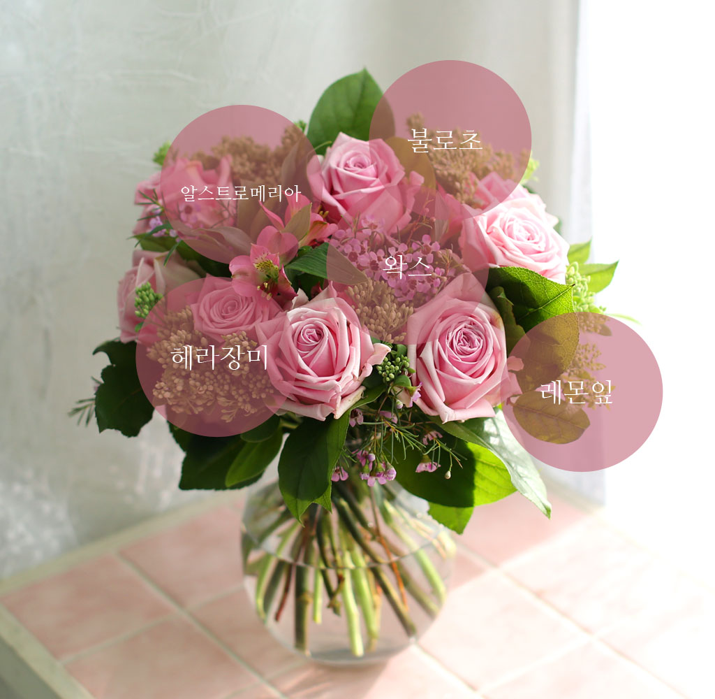 '(ù±)ȯ°æ¡¯½Ã´ë ¿À¾Æ½Ã½º¾ø´Â Çöó¿öȺ´ - pinkroom